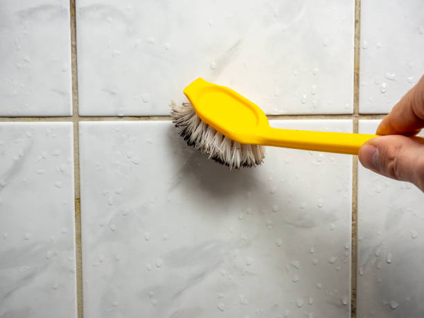 Best Fast Mold Removal  in Saw Creek, PA